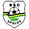 BSC Apolda 