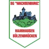 SpG SG Wachsenburg Haarhausen