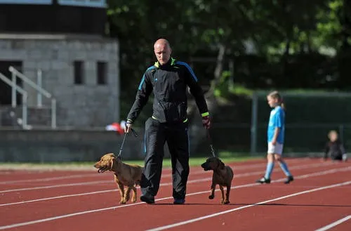 TA Bilder zum Pokalsieg 2013