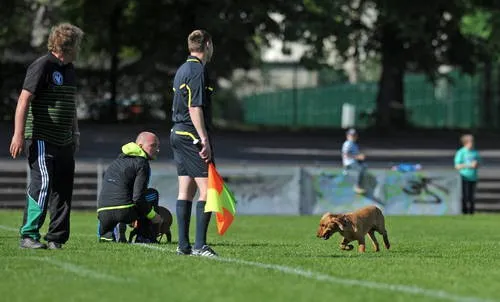 TA Bilder zum Pokalsieg 2013