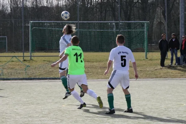 04.03.2017 VfB Apolda vs. F SV Oberweißbach